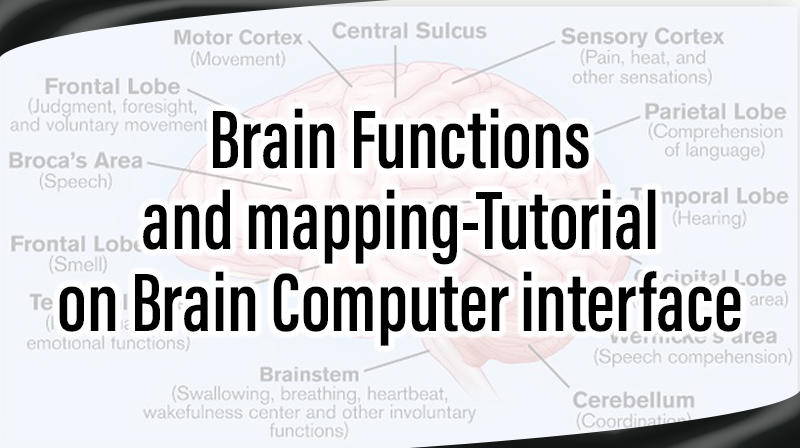 You are currently viewing Brain Functions and mapping-Tutorial on Brain Computer interface