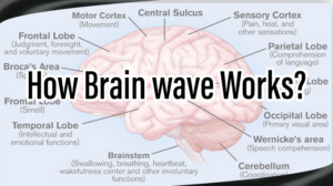 Read more about the article How Brain wave Works?