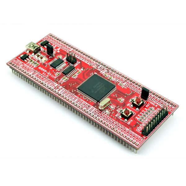 ARM9 Stick Board