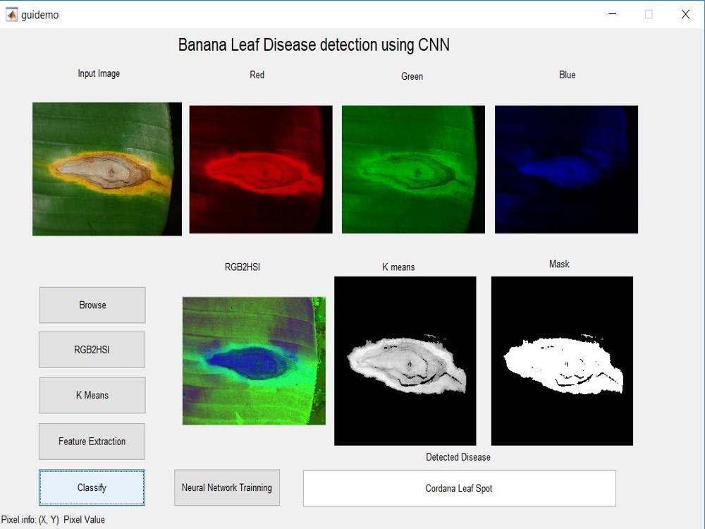 Banana Leaf Disease Detection using CNN – Deep Learning Approach