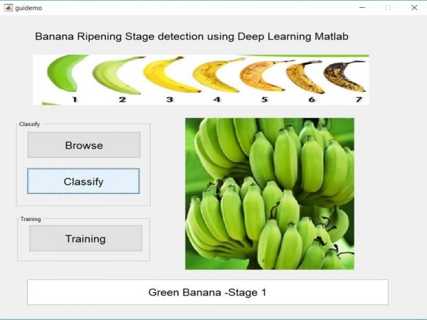 Banana Ripe Stage Detection using Deep learning -Matlab