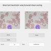 Blood Cell Classification using Deep learning