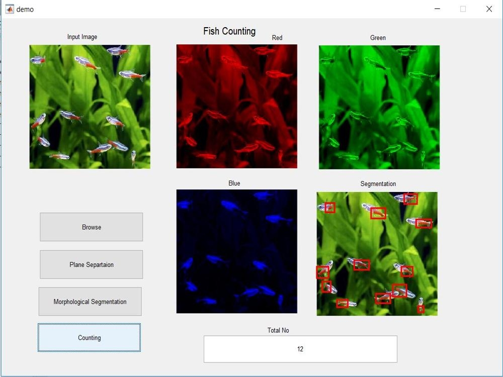 Matlab Code for Fish Counting
