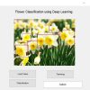 Flowers classification using Transfer Learning