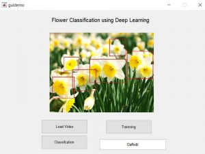 Flowers classification using Transfer Learning -Matlab