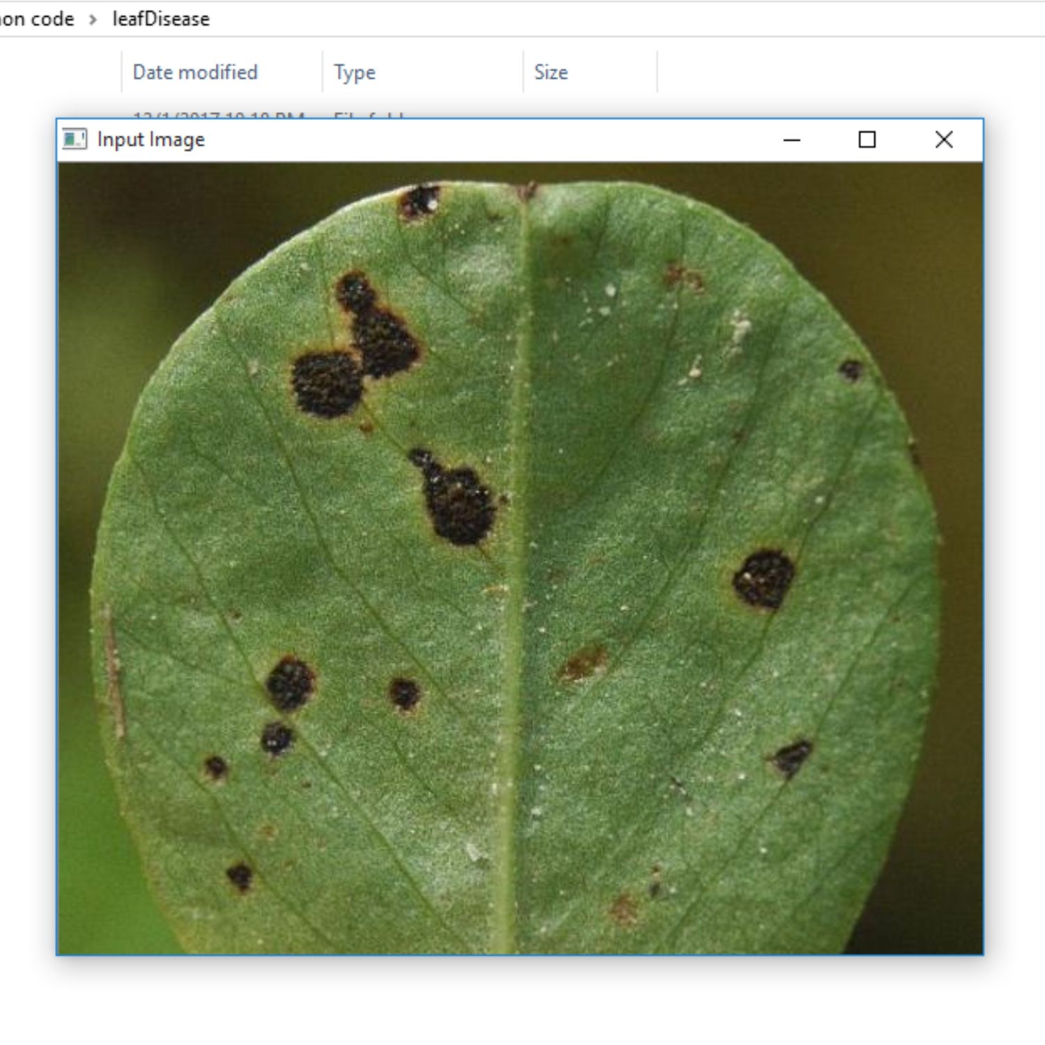 Leaf Disease Classification using OpenCV, Python