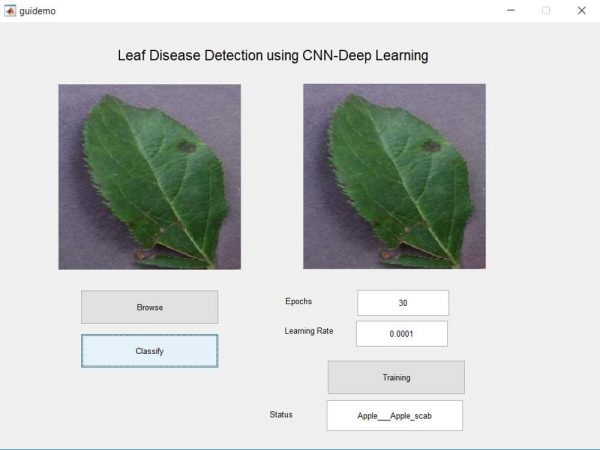 Leaf disease detection using CNN