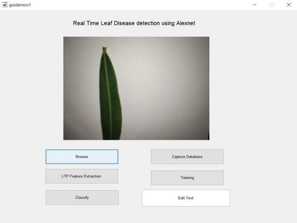 realtime leaf disease detection using alexnet