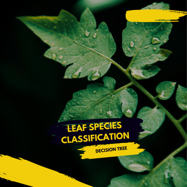 Leaf Species Classification using Machine Learning