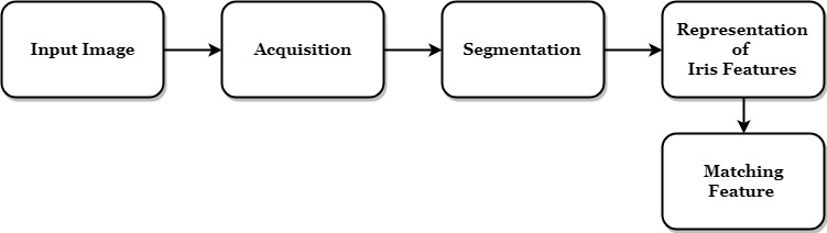 IRIS segmentation using Matlab