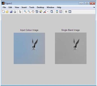 image forgery detection using matlab