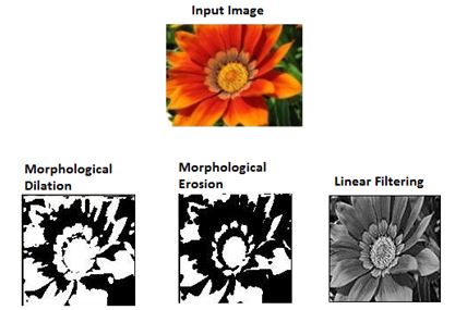 Output Images