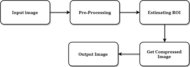 Region of interest based image compression