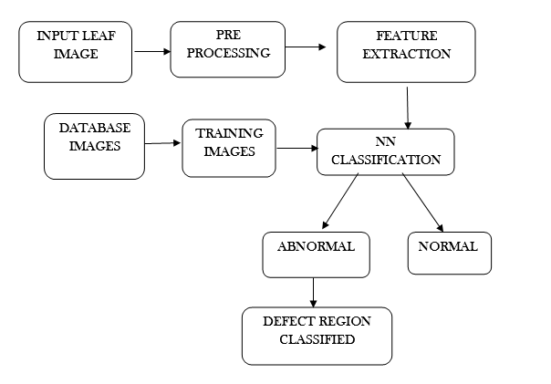 Block diagram of Leaf Disease detection using Neural Network for classification in Image processing through Matlab