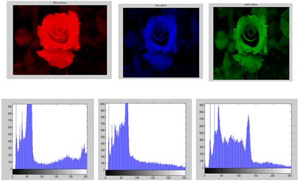 RGB-plane-separation-and-its-corresponding-Histograms